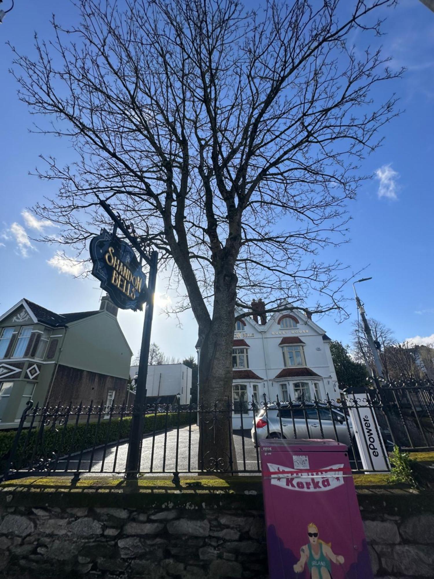 Shandon Bells Guest House Cork Exterior photo